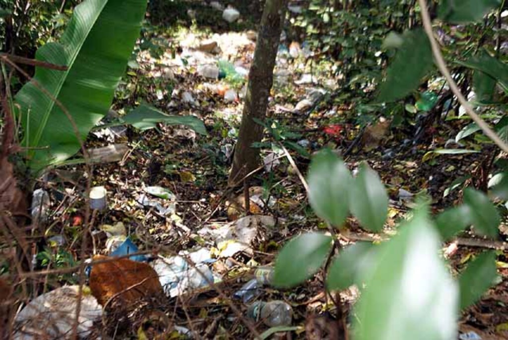 Assessoria Prefeitura - 