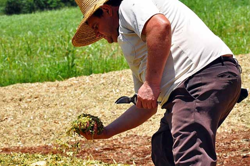 Arquivo/Assessoria prefeitura - 