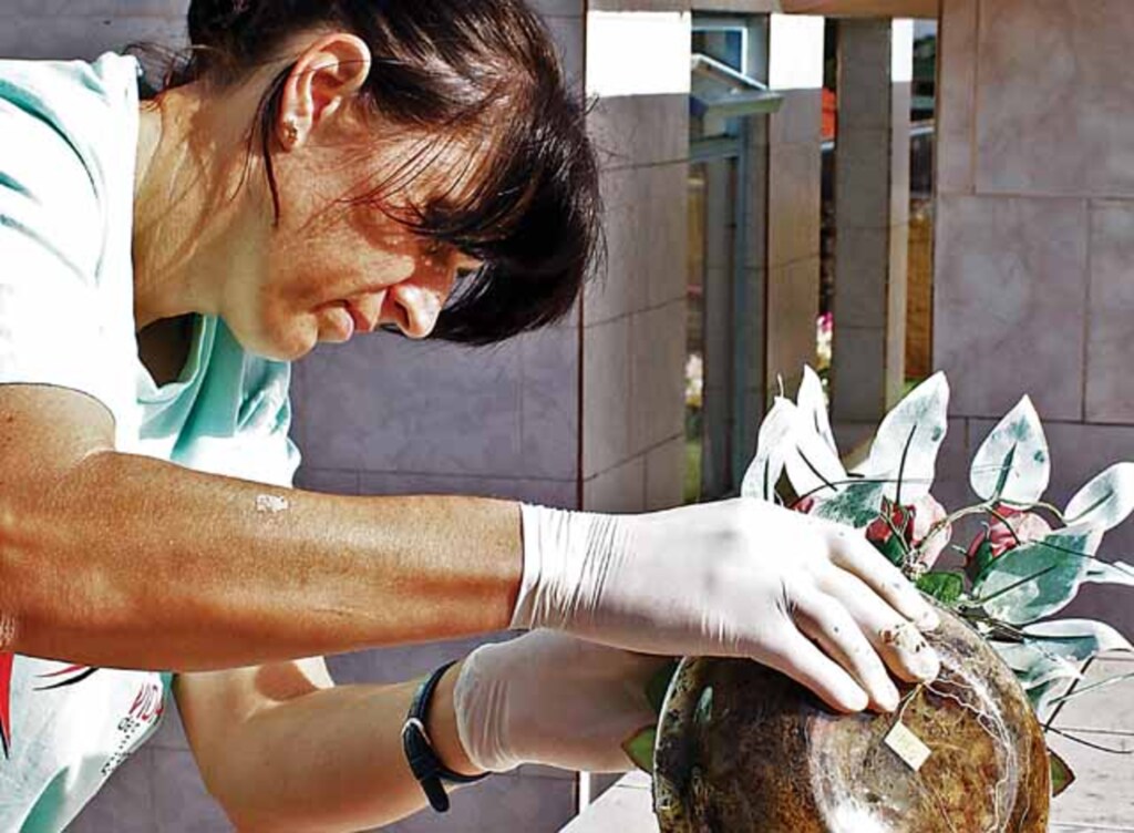 Arquivo Folha do Oeste - 