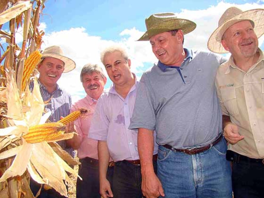 Programada a abertura oficial da colheita de milho