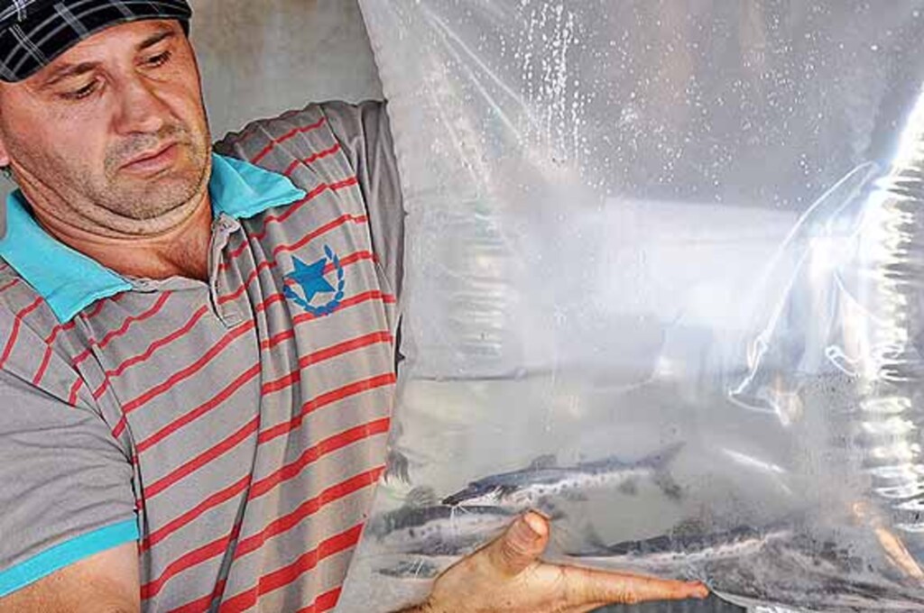 Assessoria prefeitura - 