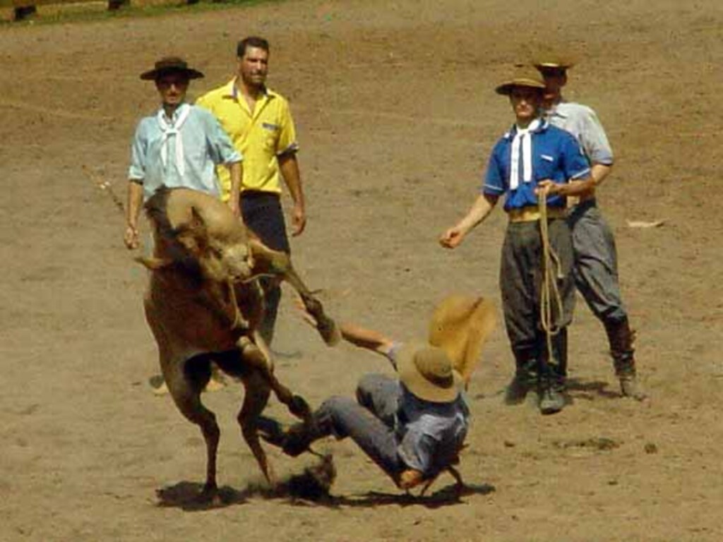 Arquivo Folha do Oeste - 