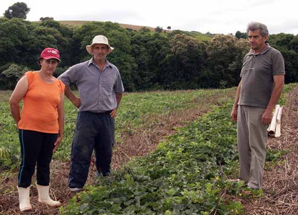 Assessoria prefeitura SMOeste - 