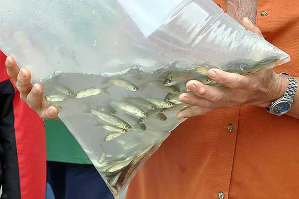 Assessoria prefeitura - 