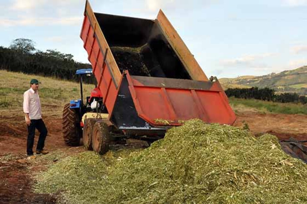 Diógenes Di Domênico - 