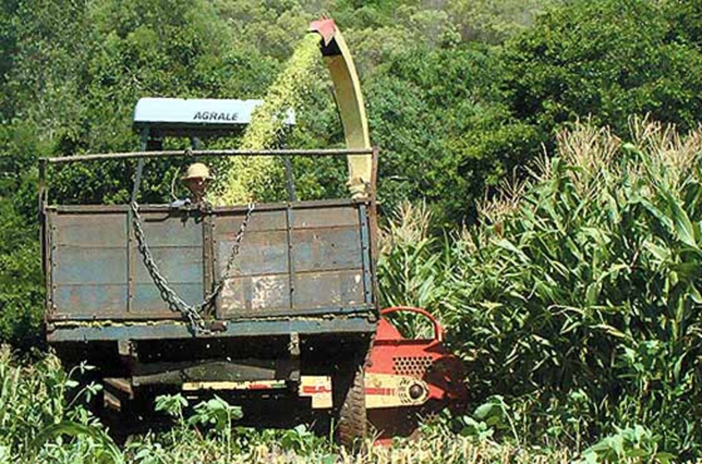 Arquivo Folha do Oeste - 