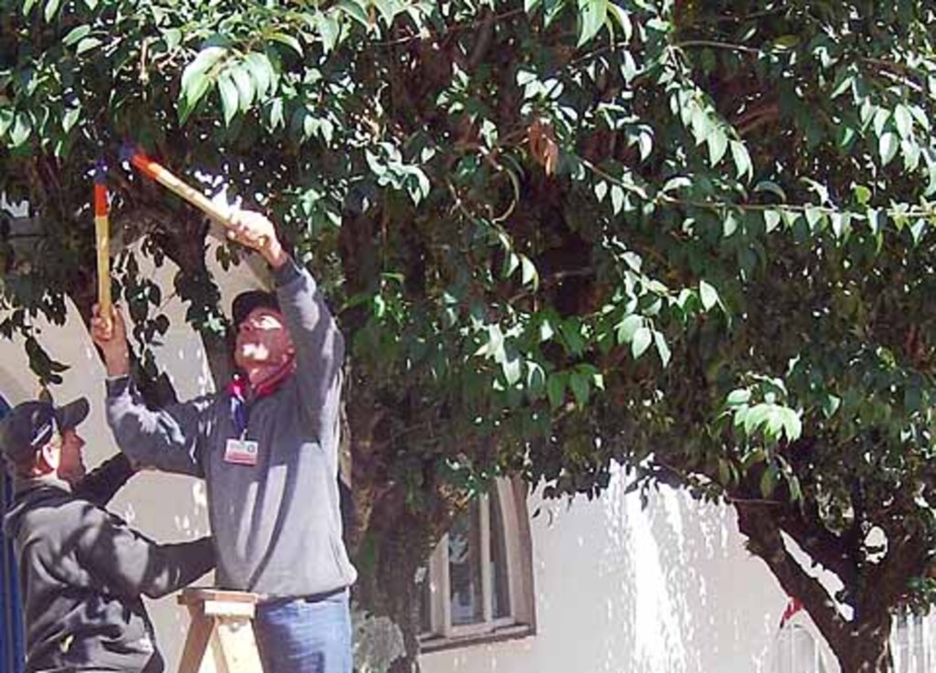 Arquivo Folha do Oeste - 