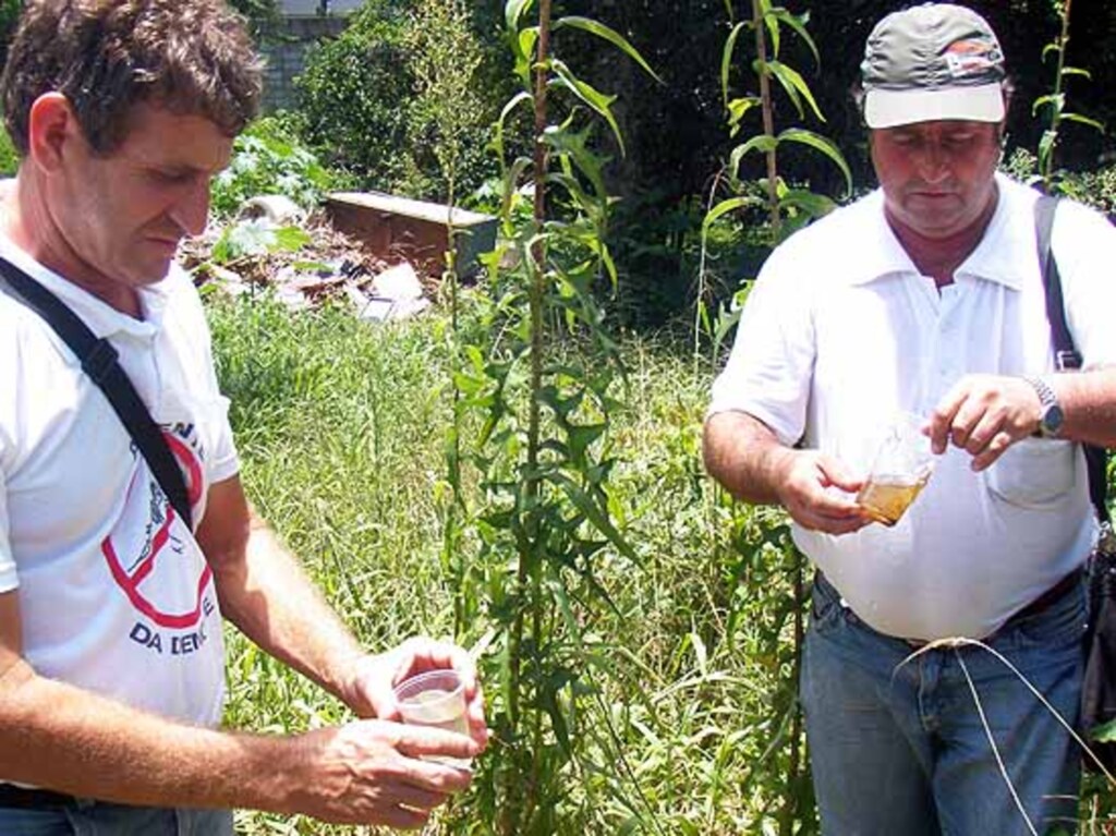 Arquivo Prefeitura - 