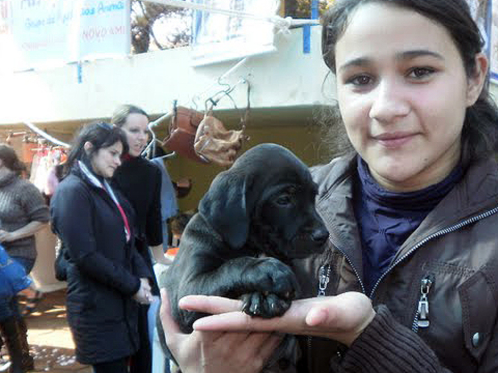 Assessoria Amigo Bicho - 