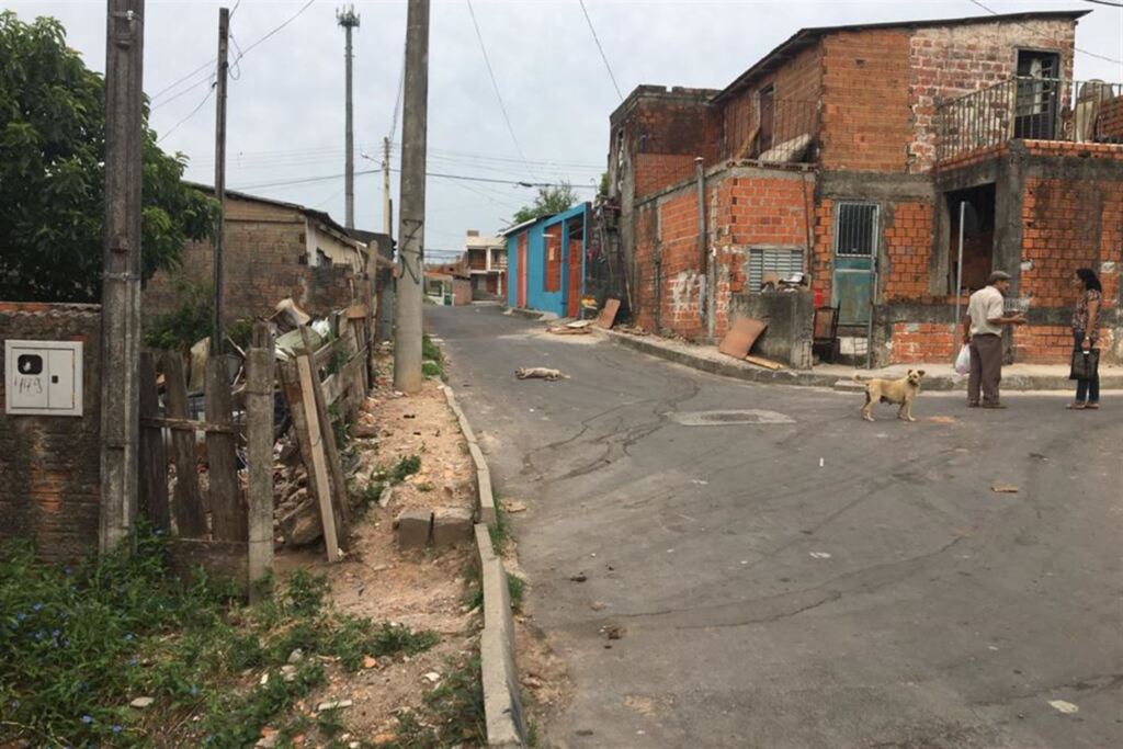Fotos: Natália Venturini (Diário) - Quantidade de animais em situação de rua e sem proprietários preocupam a comunidade