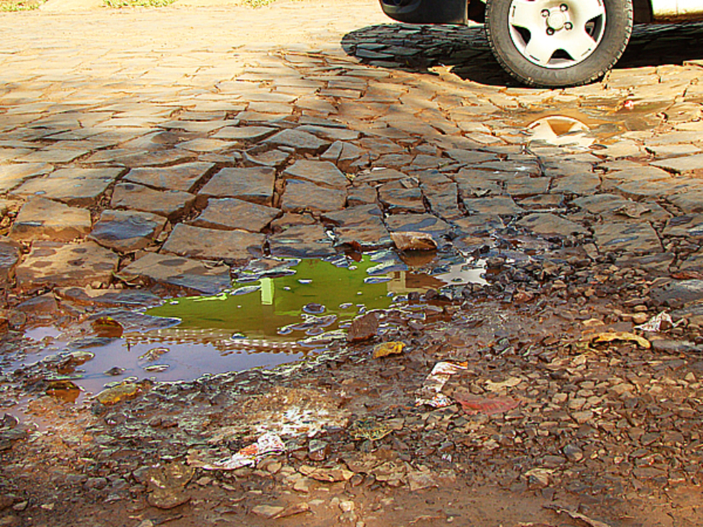 Folha do Oeste - 
