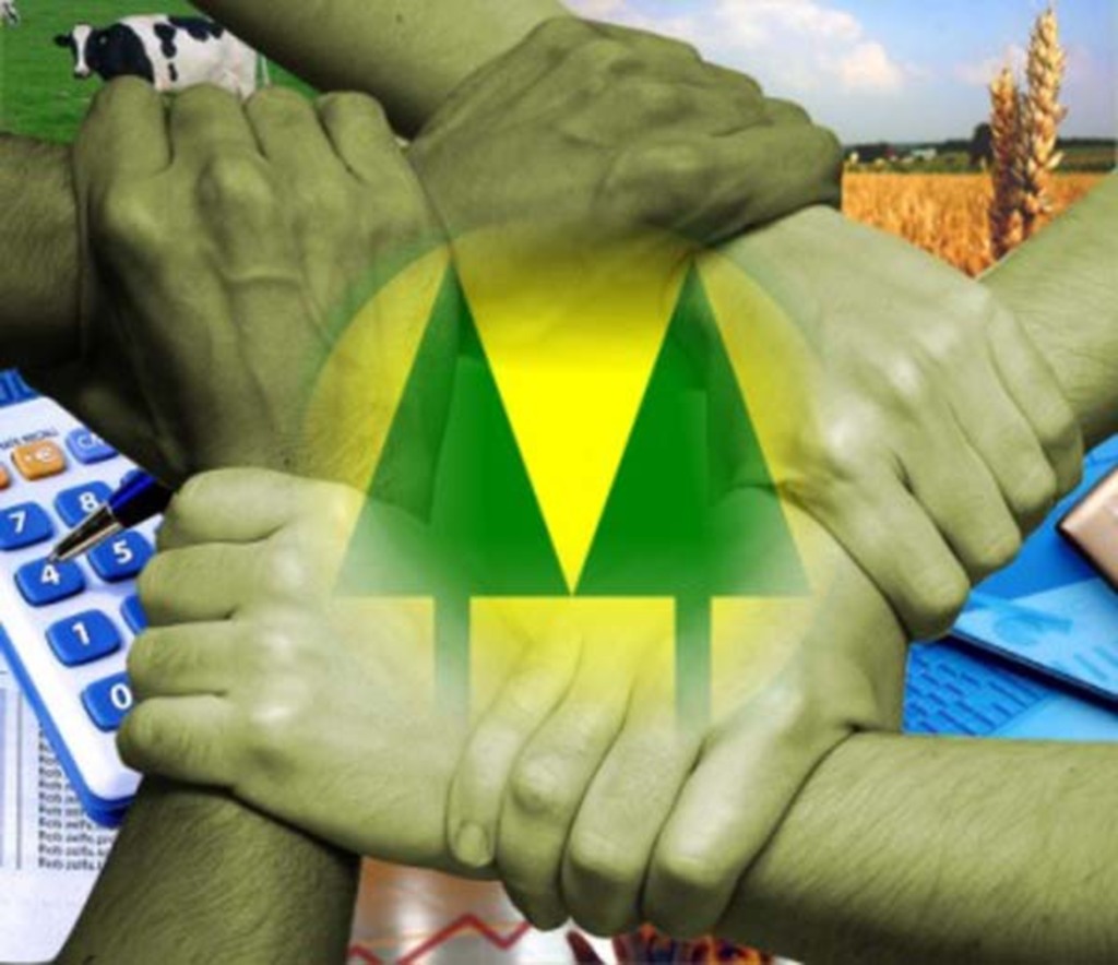 Divulgação - 