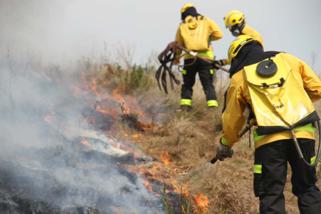 Bombeiros de Imbituba apagam dois focos de incêndio em vegetação