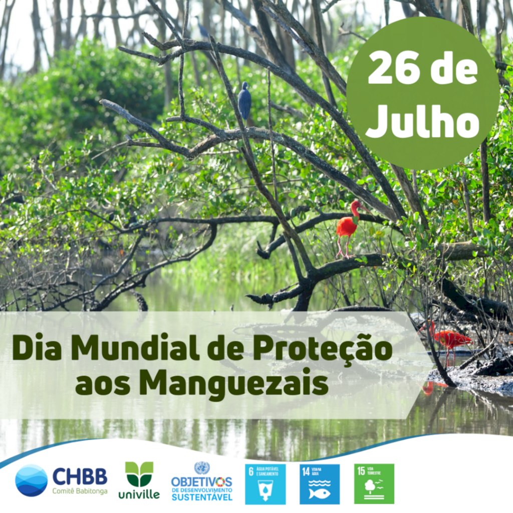 26 de Julho: Dia Mundial de Proteção aos Manguezais