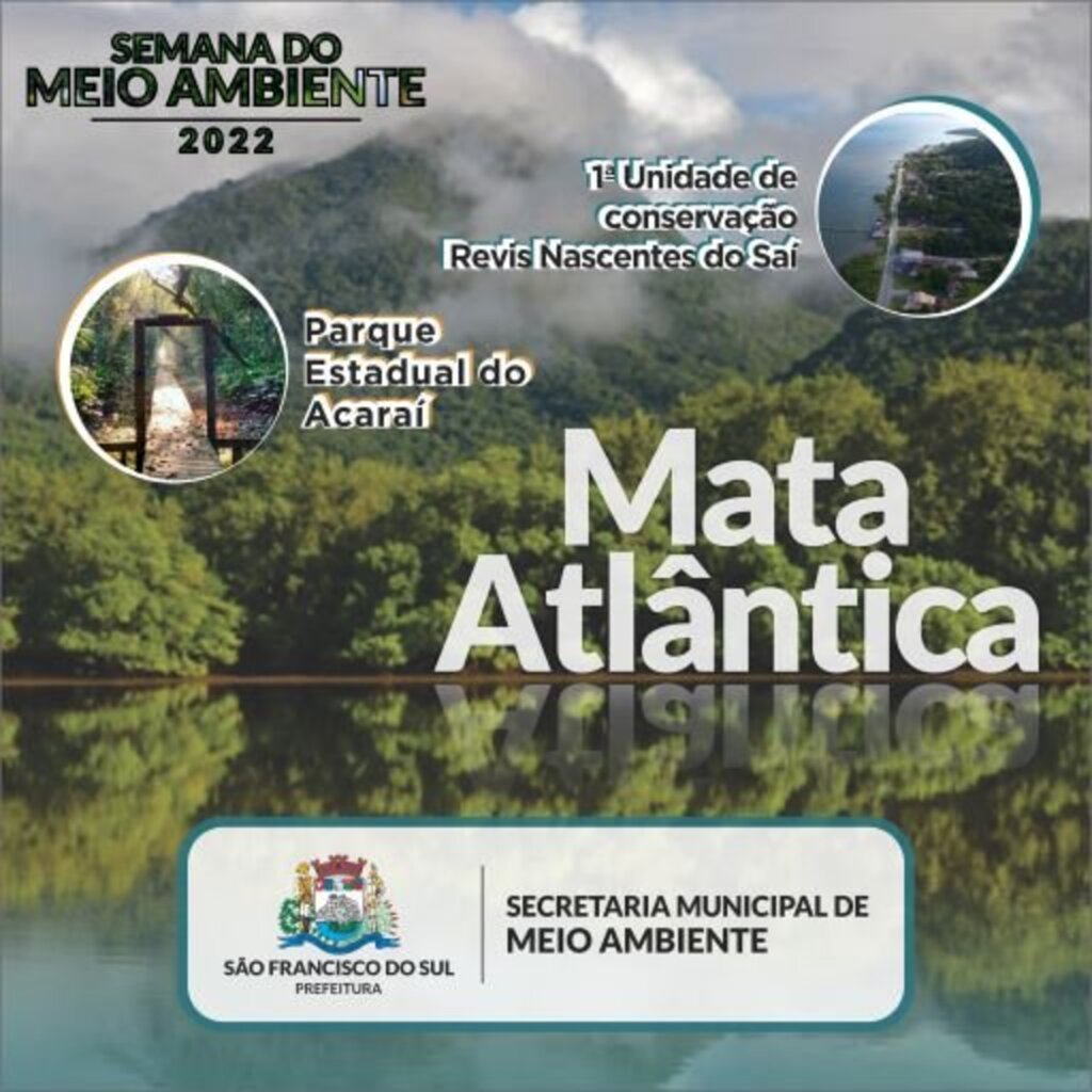 Semana do Meio Ambiente 2022: Confira a programação sobre tema exclusivo do Bioma Mata Atlântica