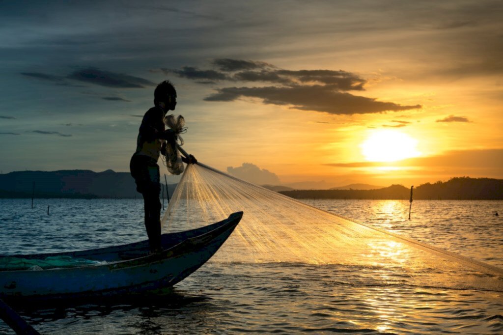 Qual a relação da pesca de São Francisco do Sul com o sistema de esgoto?