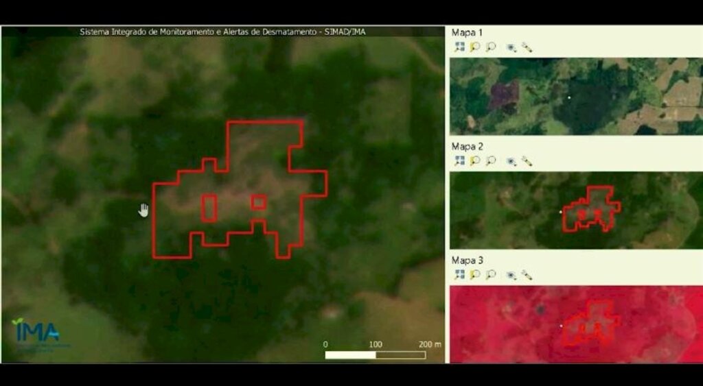 IMA lança sistema inédito para monitorar desmatamento em Santa Catarina