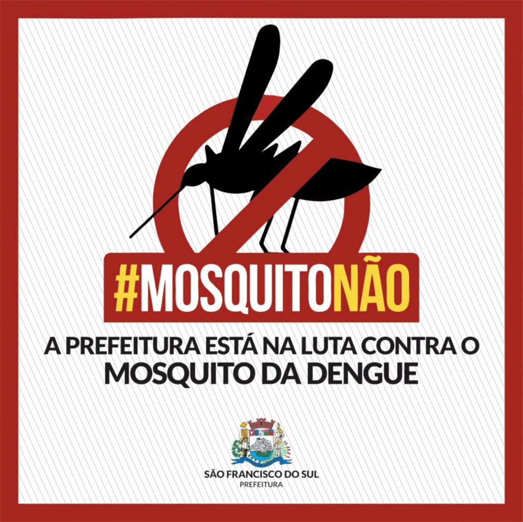 Na enseada proliferação do mosquito Aedes aegypti preocupa setor de Vigilância em Saúde de SFS