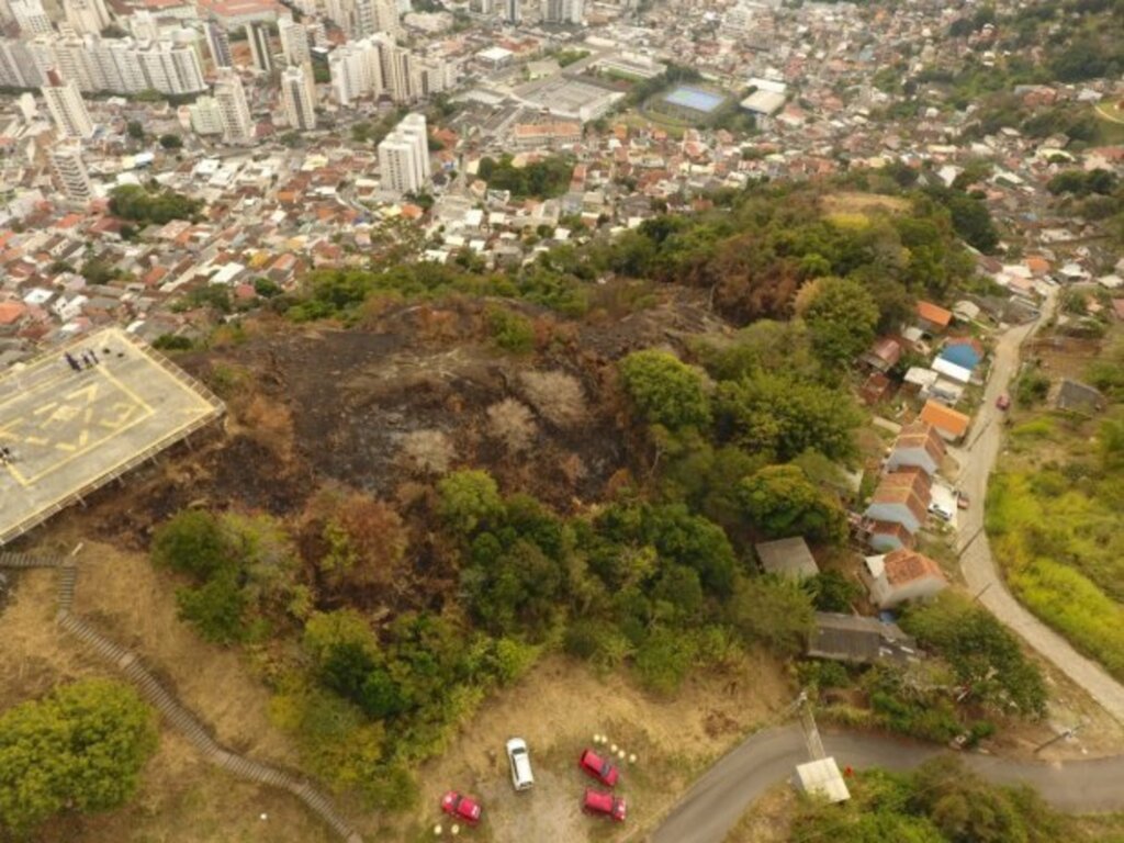 Método do IGP ajuda a quantificar valores de desmatamentos florestais no estado