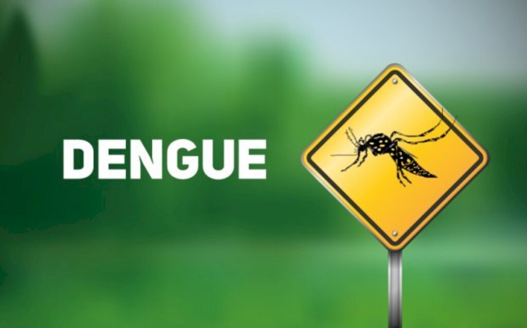 Águas de São Francisco do Sul alerta: população não pode descuidar do mosquito da dengue