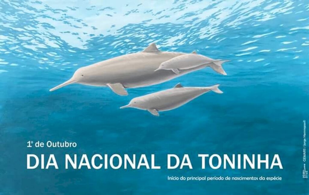 Univille relembra Dia Nacional da Toninha