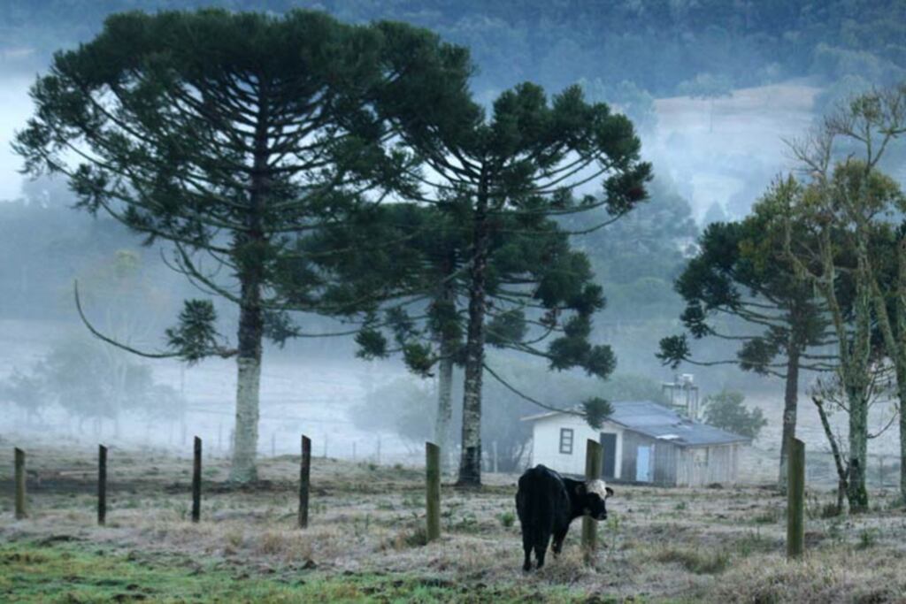 Divulgação - Baixas temperaturas neste fim de semana