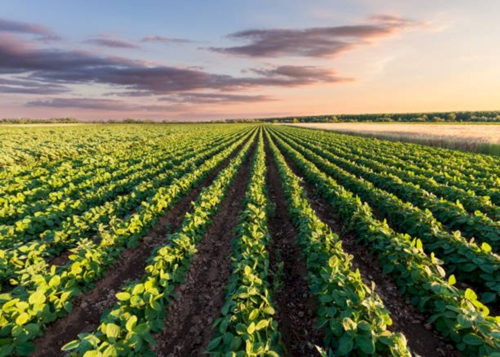 Governo do Estado entrega equipamentos agrícolas para mais de 70 municípios de Santa Catarina