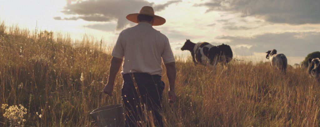 Conheça as perspectivas para o agronegócio em 2022