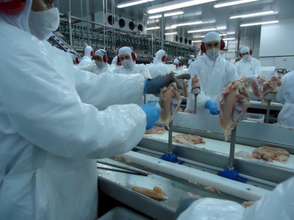 SC amplia a exportação de carnes e ultrapassa US$ 2 bilhões de faturamento em 2021