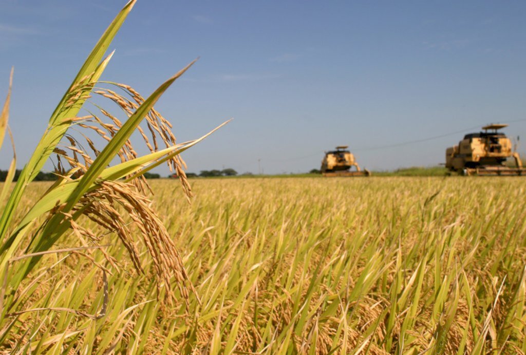 Sicredi fortalece o compromisso com a agricultura familiar em SC