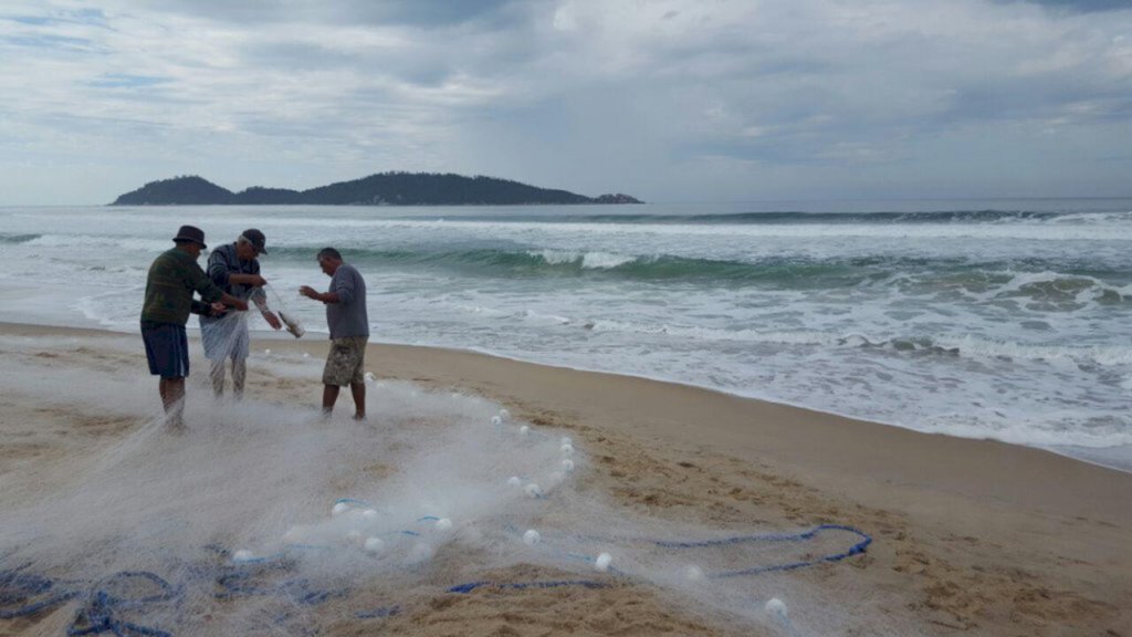 Nota Marítima: 1º de maio com boas notícias para pesca da tainha!