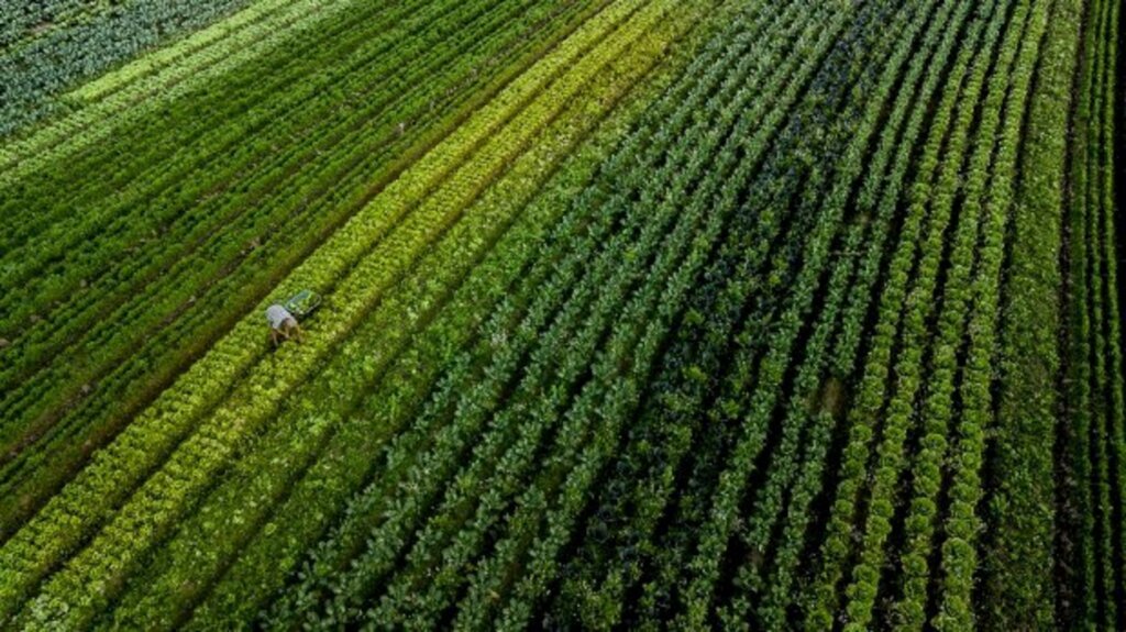 SC lança programa de inovação voltado para o agronegócio