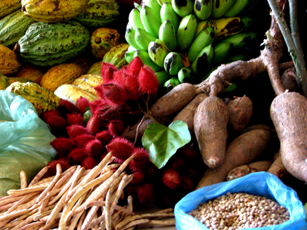 Produtos da agricultura familiar serão expostos na Exposuper 2016 em Joinville