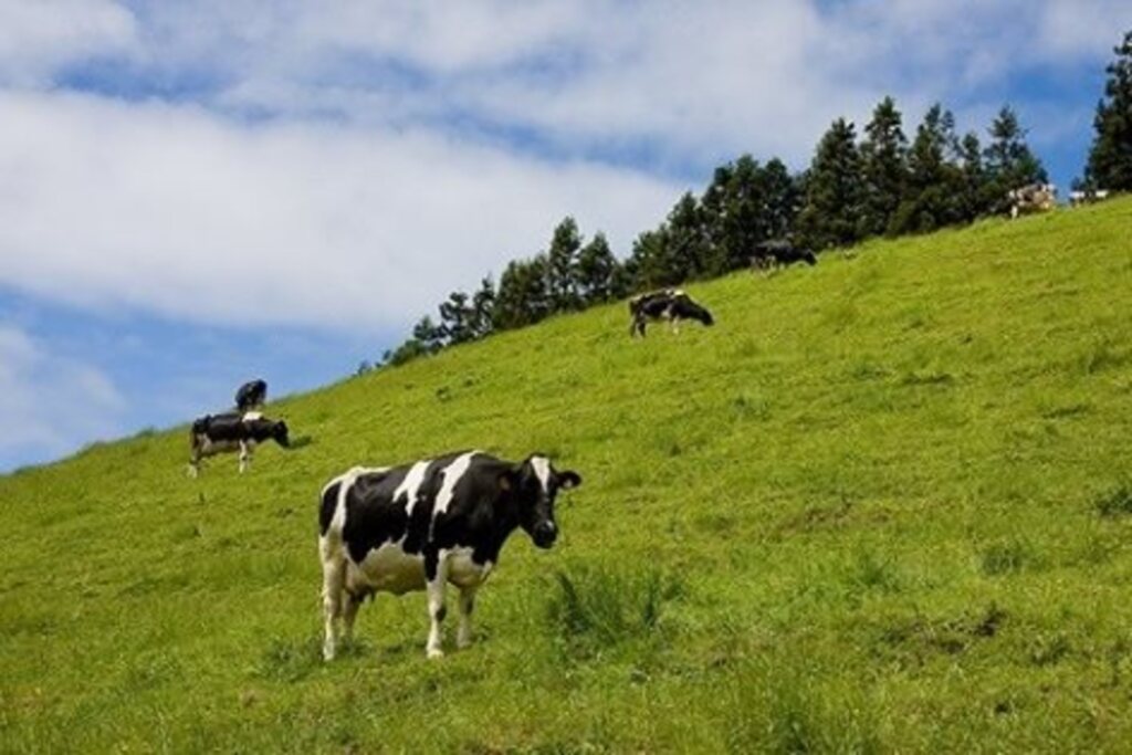 SC é aprovada por unanimidade como Zona Livre de Peste Suína pela Organização Mundial de Saúde Anima