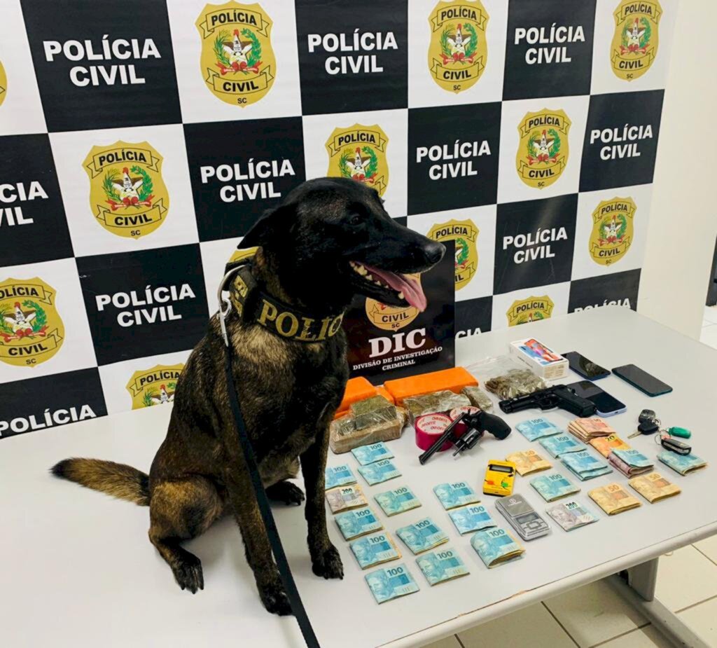 Polícia Civil de Joinville realiza operação e prende líderes de organização criminosa que atuava no estado