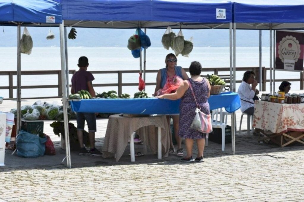 Dia do Agricultor: projetos e dificuldades para a continuidade da atividade