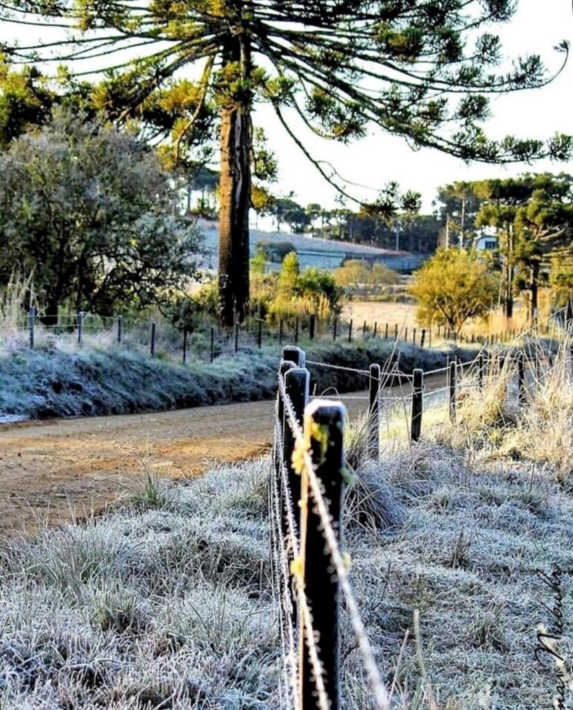 Julho termina com frio e geada em SC