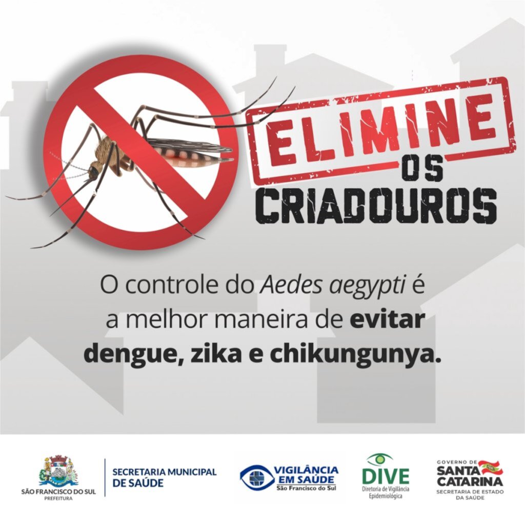 Você sabia que a dengue mata?