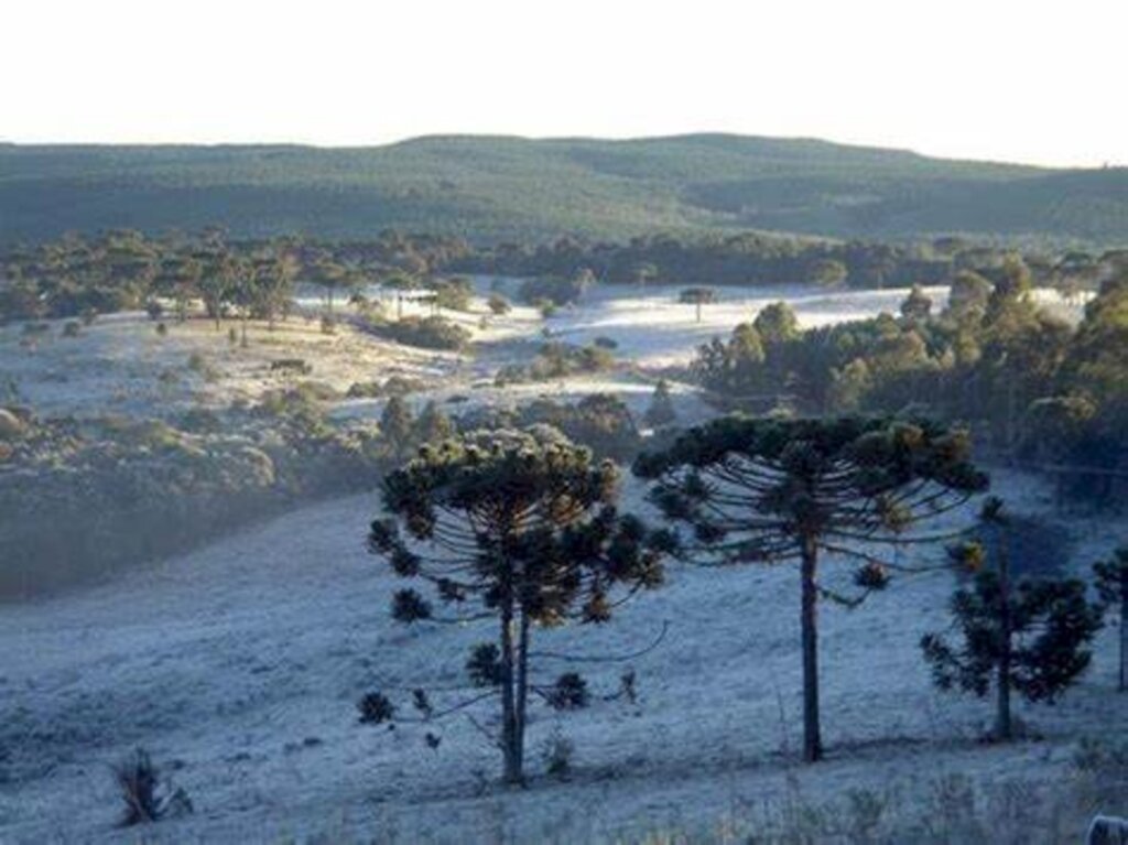 Urupema amanheceu com -5°C nesta Sexta-feira (20). Fim de semana será de sol, frio e geada em SC