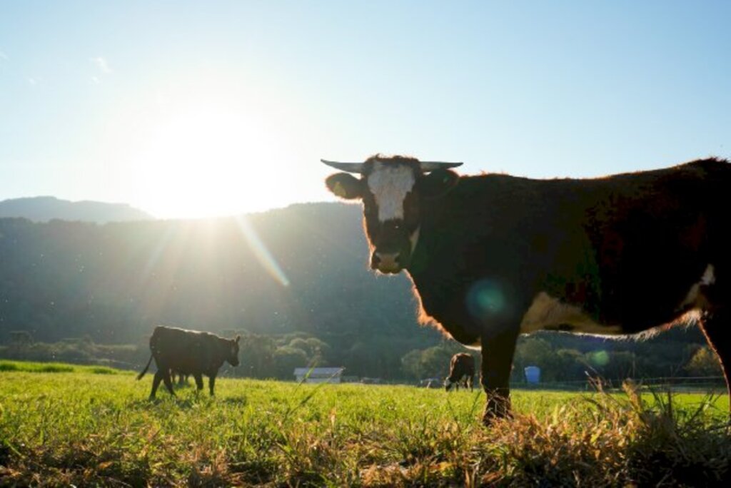 Agronegócio catarinense marca presença na Expointer no Rio Grande do Sul