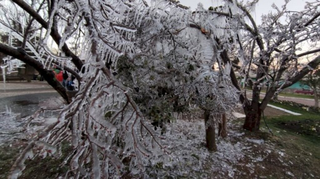 Depois da temperatura mais baixa do ano até agora, SC terá frio menos intenso