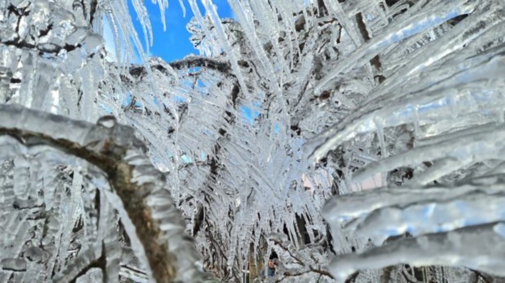 Quinta-feira será mais um dia de frio intenso em Santa Catarina