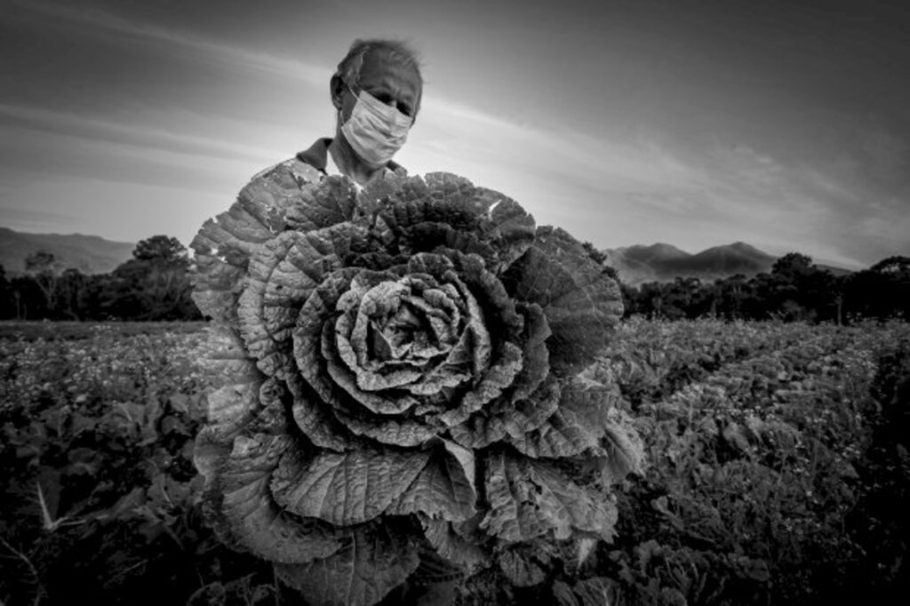 Com imagem que mostra a força da agricultura catarinense, fotógrafo da Secom de SC vence prêmio sul-americano de fotojornalismo