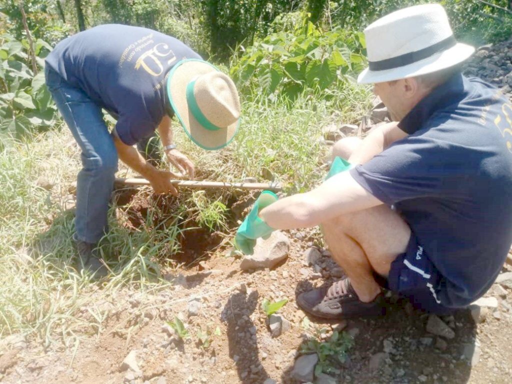 Árvores e flores foram cultivadas pelo Lions Clube