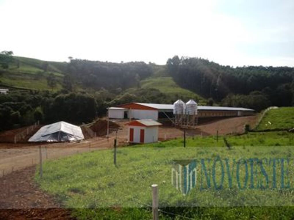 Edificação de aviário é incentivada por meio de lei em Bom Jesus do Oeste