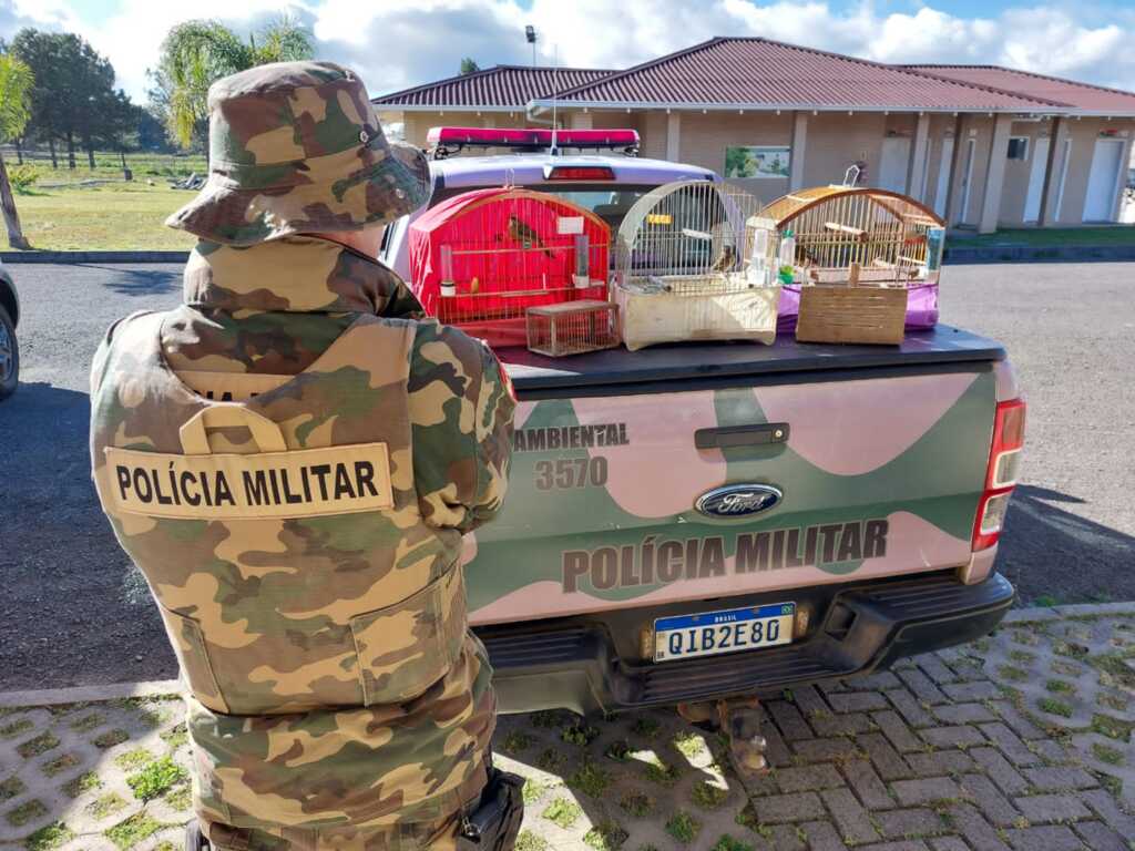 Operação da Polícia Ambiental coíbe crimes contra a fauna silvestre em Lages