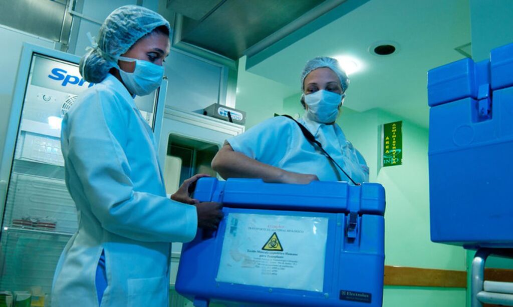 Divulgação Ministério da Saúde - Ministério da Saúde lança campanha de doação de órgãos e tecidos