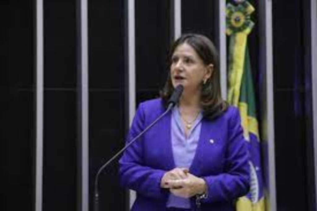 Carmen Zanotto foi a Deputada Federal mais votada em Otacílio Costa