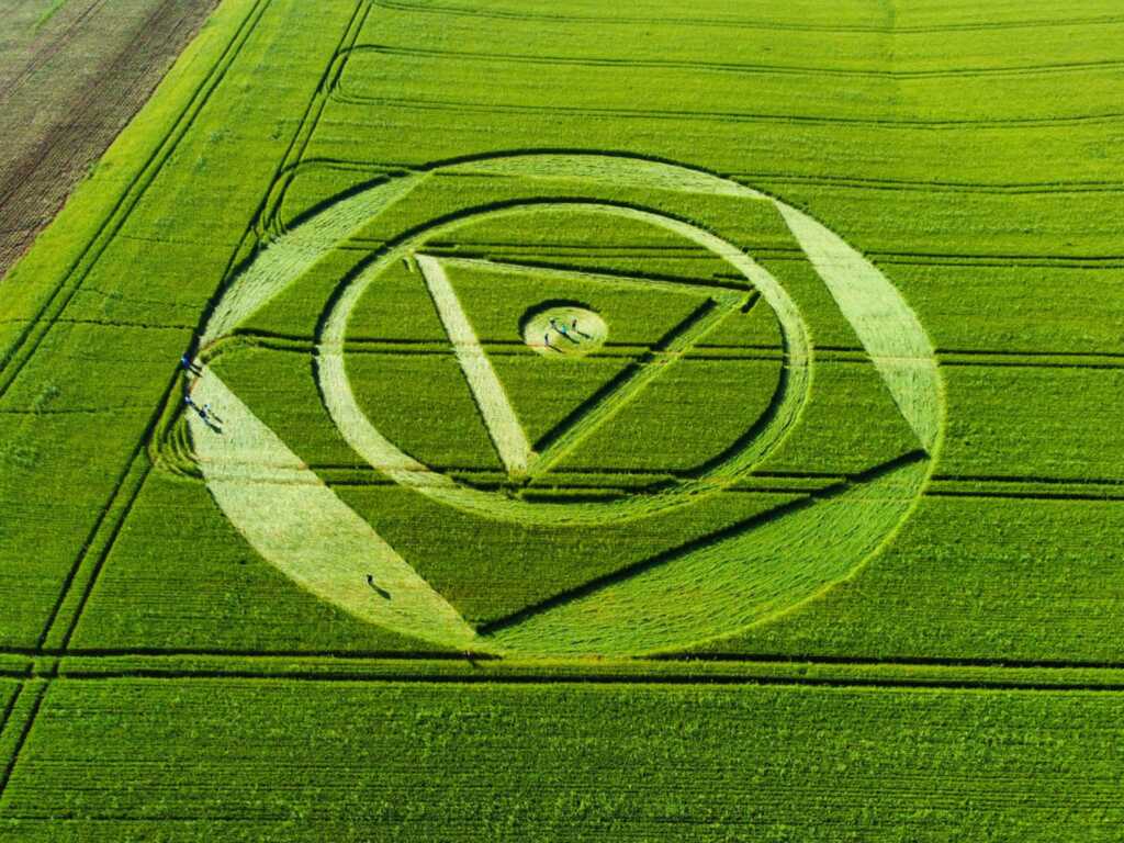 Agroglifo: marca misteriosa surge em plantação de trigo em SC