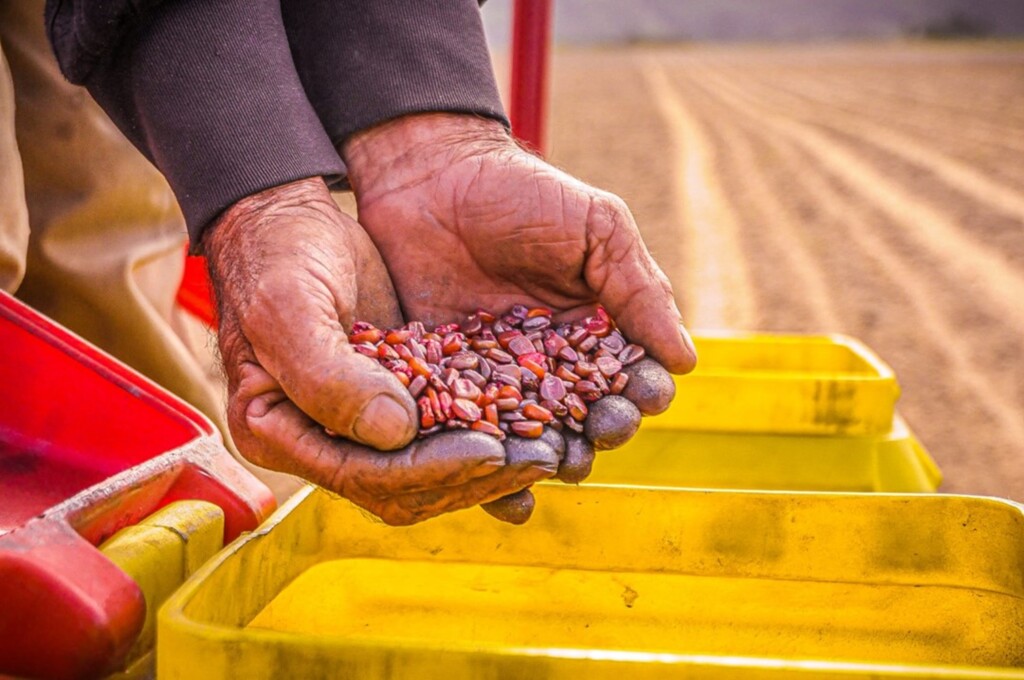 Governo de Garopaba no incentivo ao agricultor da região